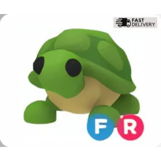 FR Turtle for sale!