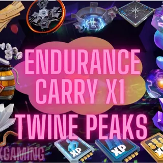 Twine peaks Endurance