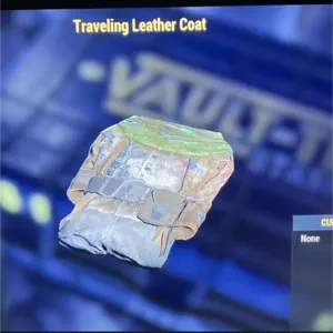 traveling leather coat