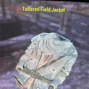 tattered field jacket