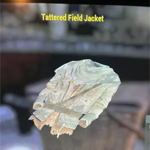 tattered field jacket