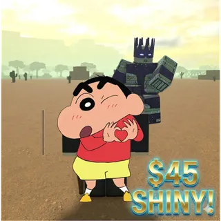 bridger: WESTERN I WS SHINY ACC