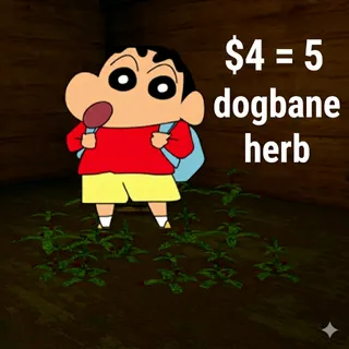 bridger: WESTERN I 5 dogbane herb