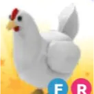 Fly ride chicken