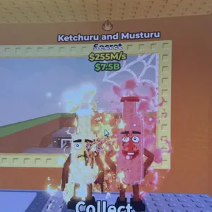 ketchuru and musturu