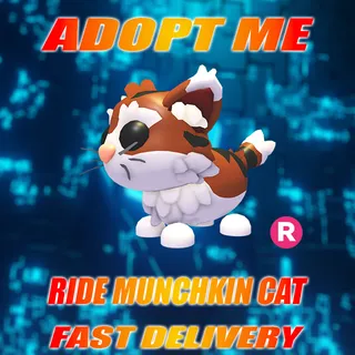 RIDE MUNCHKIN CAT