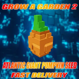 500X ATLANTIC GIANT PUMPKIN