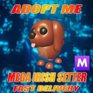 MEGA IRISH SETTER