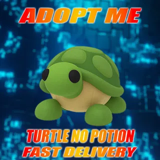 TURTLE NO POTION