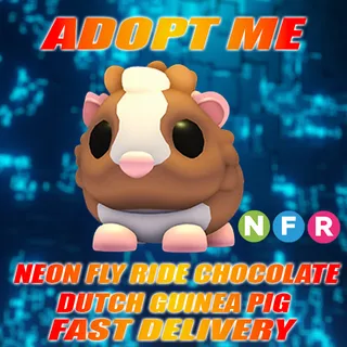 NFR CHOCOLATE DUTCH GUINEA PIG