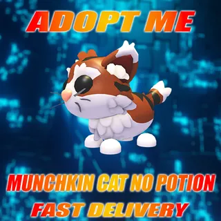 MUNCHKIN CAT NO POTION