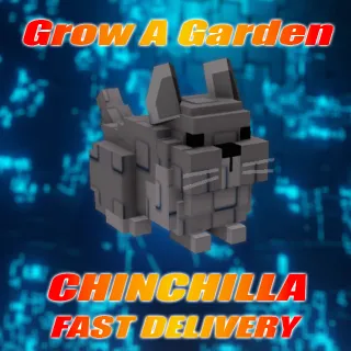 10X Chinchilla