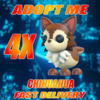 4X CHIHUAHUA