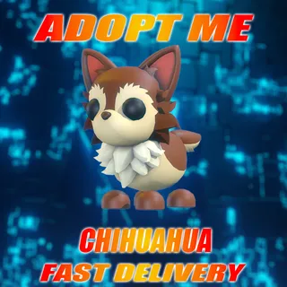 CHIHUAHUA