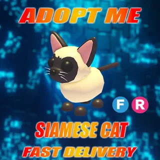 FR SIAMESE CAT