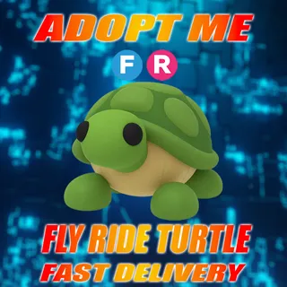 FR TURTLE