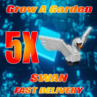 5X SWAN