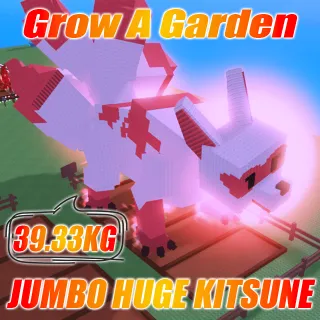 JUMBO Huge  Kitsune 39.33KG AGE : 100 + 10SX Free sheckles