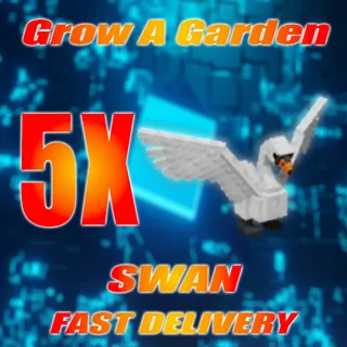 5X SWAN