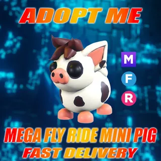 MFR MINI PIG