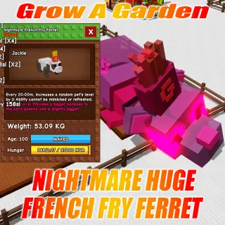 NIGHTMARE HUGE French Fry Ferret : 53.09KG AGE : 100