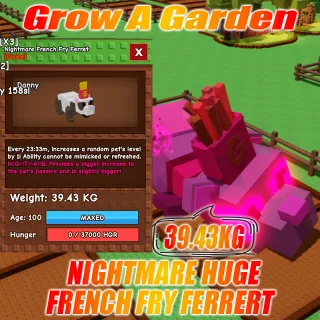 NIGHTMARE HUGE French Fry Ferret : 39.43KG AGE : 100