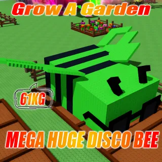 MEGA Huge DISCO BEE Age : 100 Weight 61kg