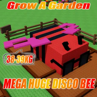 MEGA Huge DISCO BEE Age : 100 Weight 38-39kg