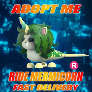 RIDE MERMICORN