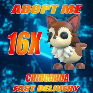 16X CHIHUAHUA
