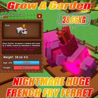 NIGHTMARE HUGE French Fry Ferret : 38.66KG AGE : 100