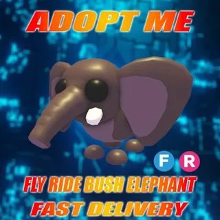 FR BUSH ELEPHANT
