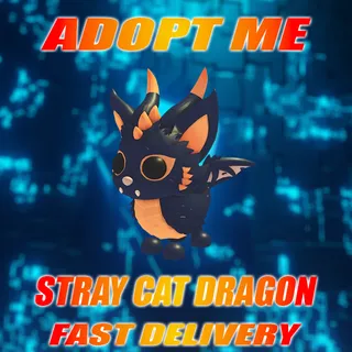 STRAY CAT DRAGON