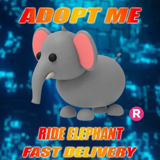 RIDE ELEPHANT