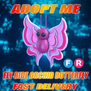 FR ORCHID BUTTERFLY