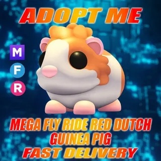 MFR RED DUTCH GUINEA PIG