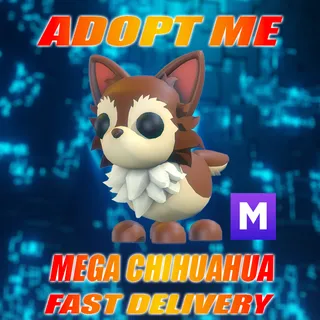 MEGA CHIHUAHUA