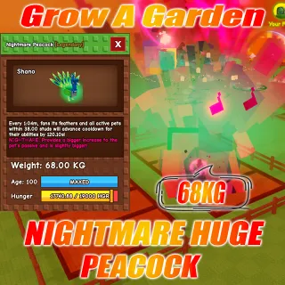 Nightmare HUGE Peacock age :100 weight : 68kg 15 second with Toy 