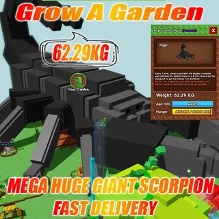 MEGA HUGE GIANT SCORPION weight : 62.29kg  AGE : 100  ( VERY RARE WEIGHT )