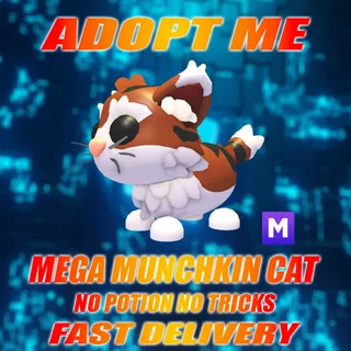 MEGA MUNCHKIN CAT NO POTION NO TRICKS