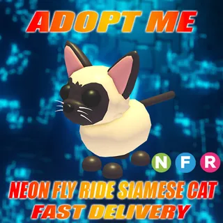 NFR SIAMESE CAT