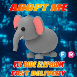 FR ELEPHANT