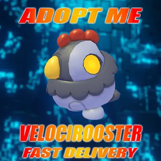 2X VELOCIROOSTER