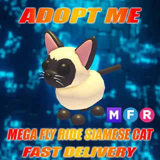MFR SIAMESE CAT