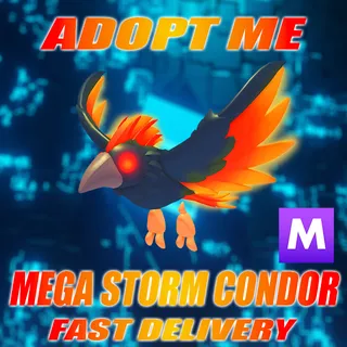 MEGA STORM CONDOR