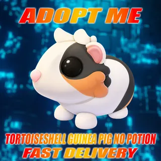 TORTOISESHELL GUINEA PIG NO POTION