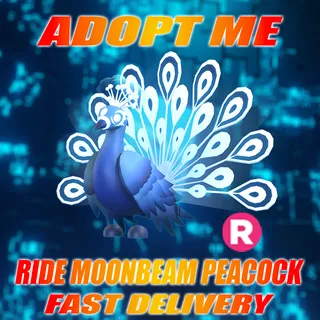 RIDE MOONBEAM PEACOCK