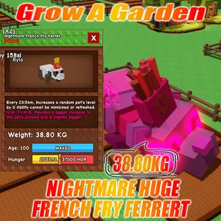 NIGHTMARE HUGE French Fry Ferret : 38.80KG AGE : 100