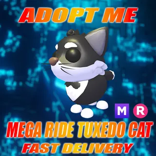 MR TUXEDO CAT