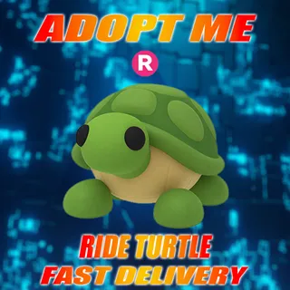RIDE TURTLE